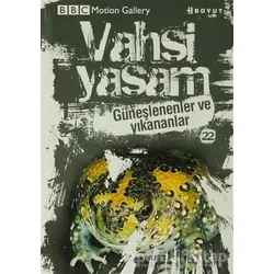 Vahşi Yaşam 2 - Güneşlenenler ve Yıkananlar - Kolektif - Boyut Yayın Grubu