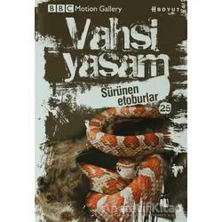 Vahşi Yaşam 2 - Sürünen Etoburlar - Chris Mattison - Boyut Yayın Grubu