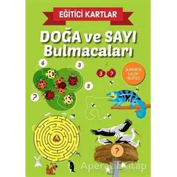 Doğa ve Sayı Bulmacaları - Eğitici Kartlar - Kolektif - Teleskop Popüler Bilim