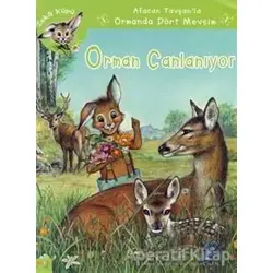 Orman Canlanıyor - Jeanne Hiver - Kaknüs Yayınları