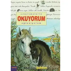 Çıkartmalarla Okuyorum Eğleniyorum -Küçük Tay Şahlan - Delphine Lacharron - Kaknüs Yayınları