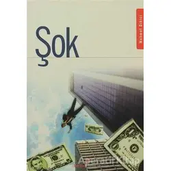 Şok - Mehmet Dikici - Berikan Yayınevi