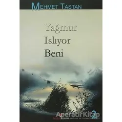 Yağmur Islıyor Beni - Mehmet Taştan - Berikan Yayınevi