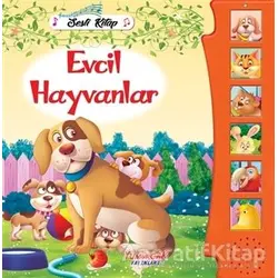 Evcil Hayvanlar - Sesli Kitap - Kolektif - Yumurcak Yayınları