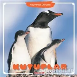 Kutuplar - Hayvanlar Dünyası - Kolektif - Yumurcak Yayınları