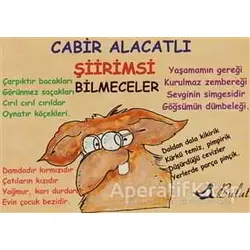 Şiirimsi Bilmeceler - Cabir Alacatlı - Bulut Yayınları