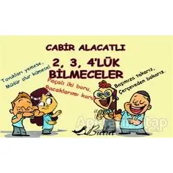2, 3, 4’lük Bilmeceler - Cabir Alacatlı - Bulut Yayınları
