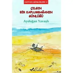 Çılgın Bir Kaplumbağanın Günlüğü - Aydoğan Yavaşlı - Bulut Yayınları