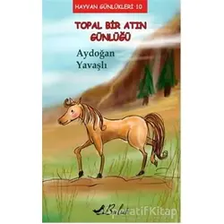Topal Bir Atın Günlüğü - Aydoğan Yavaşlı - Bulut Yayınları