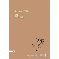 Su Çürüdü - Ahmet Telli - Everest Yayınları