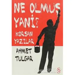 Ne Olmuş Yani? - Ahmet Tulgar - Everest Yayınları