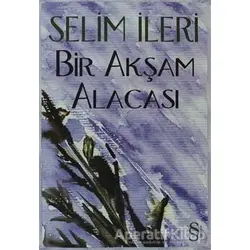 Bir Akşam Alacası - Selim İleri - Everest Yayınları