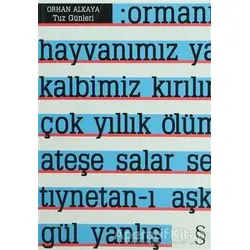 Tuz Günleri - Orhan Alkaya - Everest Yayınları