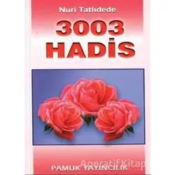 3003 Hadis (Hadis-002) - Nuri Tatlıdere - Pamuk Yayıncılık