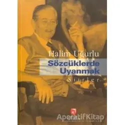 Sözcüklerde Uyanmak - Halim Uğurlu - Aksoy Yayıncılık