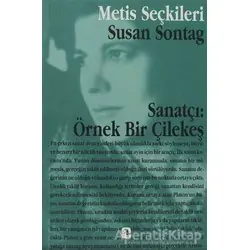 Sanatçı: Örnek Bir Çilekeş - Susan Sontag - Metis Yayınları