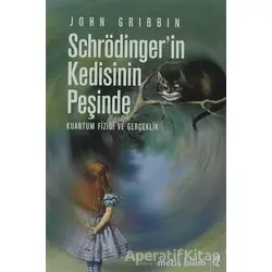 Schrödinger’in Kedisinin Peşinde - John Gribbin - Metis Yayınları