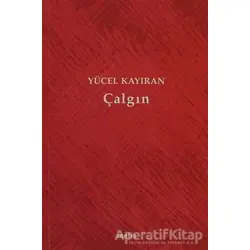 Çalgın - Yücel Kayıran - Metis Yayınları
