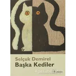 Başka Kediler - Selçuk Demirel - Metis Yayınları