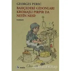 Bahçedeki Gidonları Kromajlı Pırpır da Neyin Nesi? - Georges Perec - Metis Yayınları