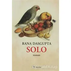 Solo - Rana Dasgupta - Metis Yayınları