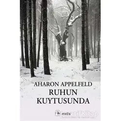 Ruhun Kuytusunda - Aharon Appelfeld - Metis Yayınları