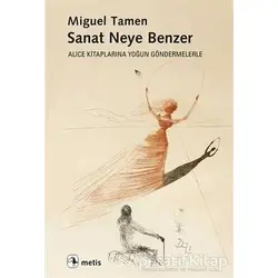 Sanat Neye Benzer - Miguel Tamen - Metis Yayınları