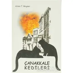 Çanakkale Kedileri - Armin T. Wegner - Belge Yayınları