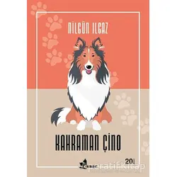 Kahraman Çino - Nilgün Ilgaz - Çınar Yayınları