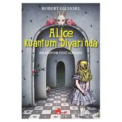 Alice Kuantum Diyarında - Robert Gilmore - Çınar Yayınları