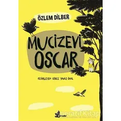 Mucizevi Oscar - Özlem Dilber - Çınar Yayınları