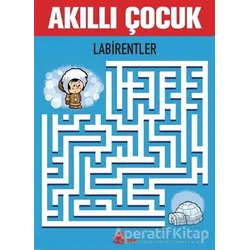 Labirentler - Akıllı Çocuk - Kolektif - Çınar Yayınları
