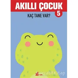 Kaç Tane Var? - Akıllı Çocuk 5 - Kolektif - Çınar Yayınları