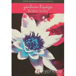 Günlerin Köpüğü - Boris Vian - E Yayınları