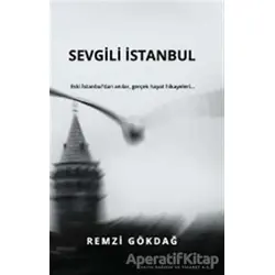 Sevgili İstanbul - Remzi Gökdağ - E Yayınları