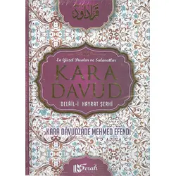 Kara Davud - Delalil-i Hayrat Şerhi - Ferah Yayınları