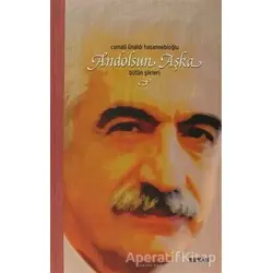 Andolsun Aşka - Cumali Ünaldı Hasannebioğlu - Beyan Yayınları