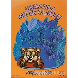 Ormanda Neler Olmuş - Ayşin Bumin - Kök Yayıncılık