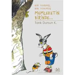 Bir Varmış Bir Yokmuş Memleketin Birinde... - Tarık Dursun K. - Arkadaş Yayınları