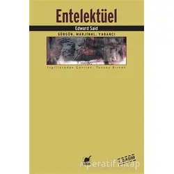 Entelektüel - Edward W. Said - Ayrıntı Yayınları