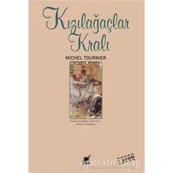 Kızılağaçlar Kralı - Michel Tournier - Ayrıntı Yayınları