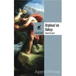 Orpheusun Bakışı - Ahmet Bozkurt - Ayrıntı Yayınları