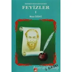 Mehmed Feyzi Efendiden Feyizler 1 - Musa Özdağ - Hamle Yayınevi