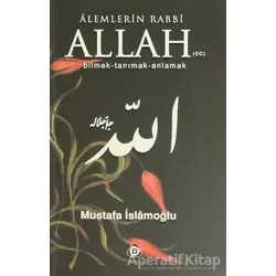 Alemlerin Rabbi Allah (cc) - Mustafa İslamoğlu - Düşün Yayıncılık