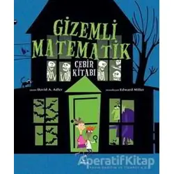 Gizemli Matematik - David A. Adler - Doruk Yayınları