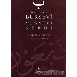 Mesnevi Şerhi - İsmail Hakkı Bursevi - İnsan Yayınları