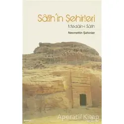Salih’in Şehirleri - Necmettin Şahinler - İnsan Yayınları