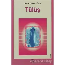 Tülüş - Ayla Çınaroğlu - Uçanbalık Yayıncılık