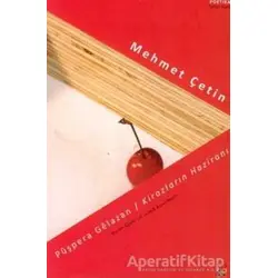 Kirazların Haziranı / Püşpera Gelazan - Kawa Nemir - Lis Basın Yayın