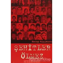 Şehitler Ölmez - Recep Küçükizsiz - Bilgeoğuz Yayınları